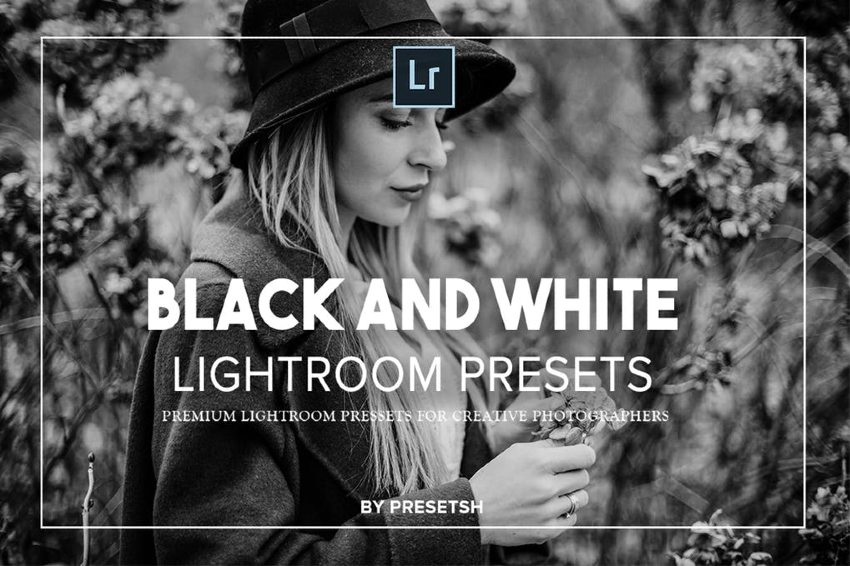 Lightroom Black and White Presets Bundle